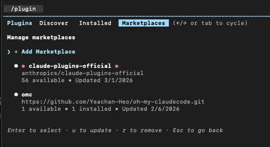 Marketplaces tab showing official and custom marketplaces